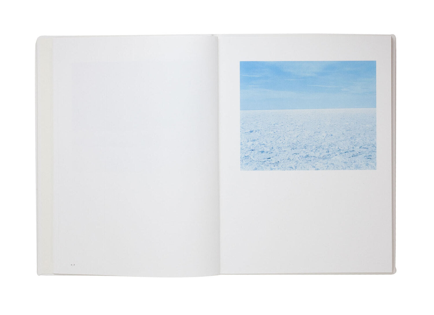 Winter to Spring