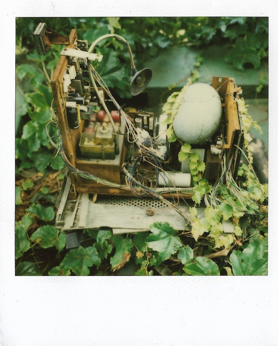 Untitled