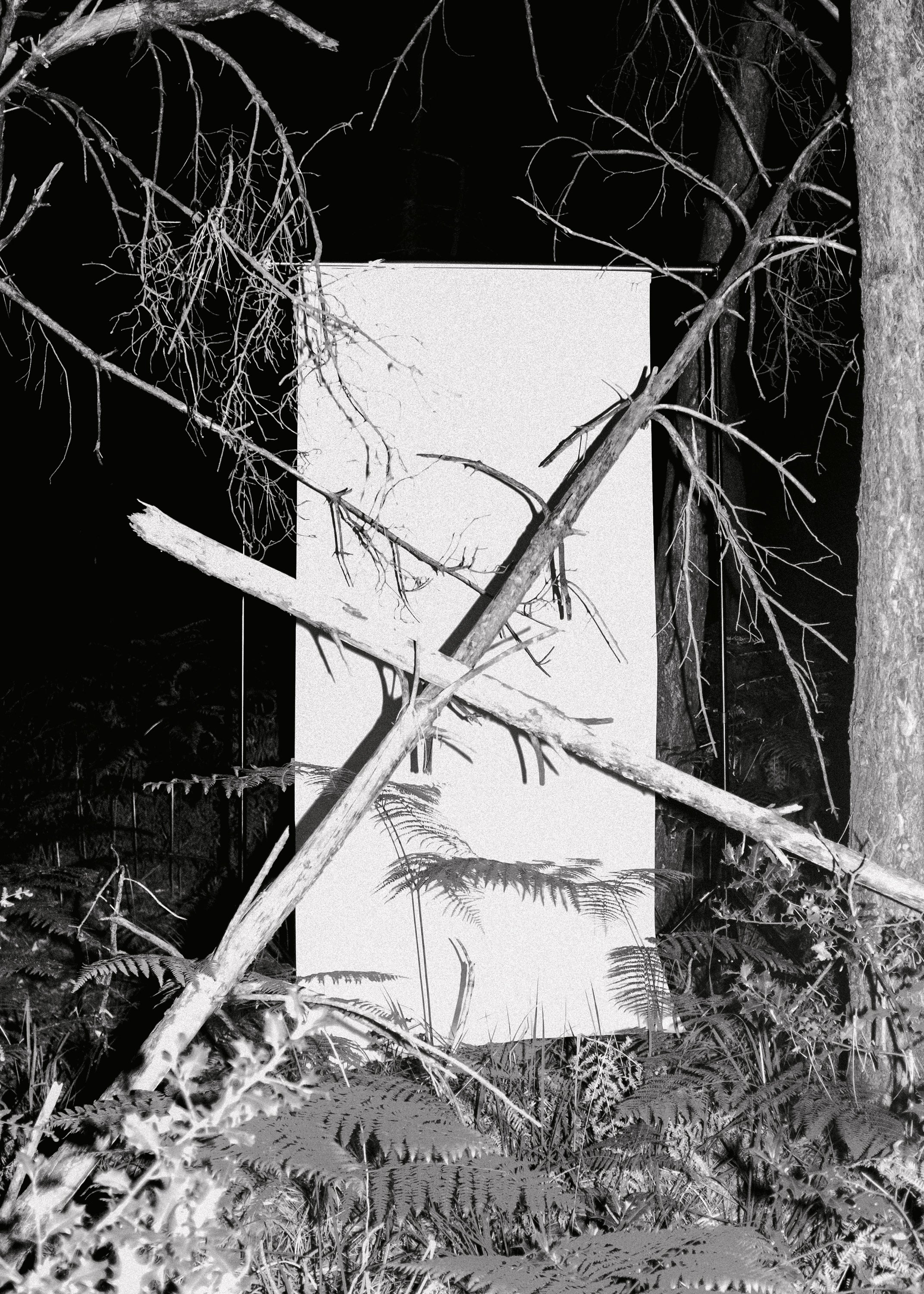 Grégoire Eloy - Troisième nature (signed)