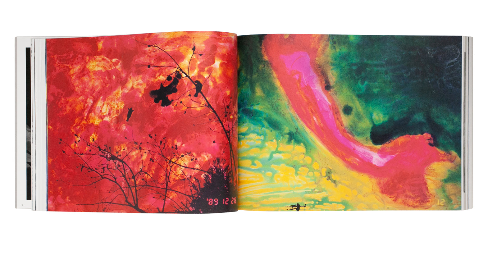 Nobuyoshi Araki - Ojo Shashu : Photography for the Afterlife