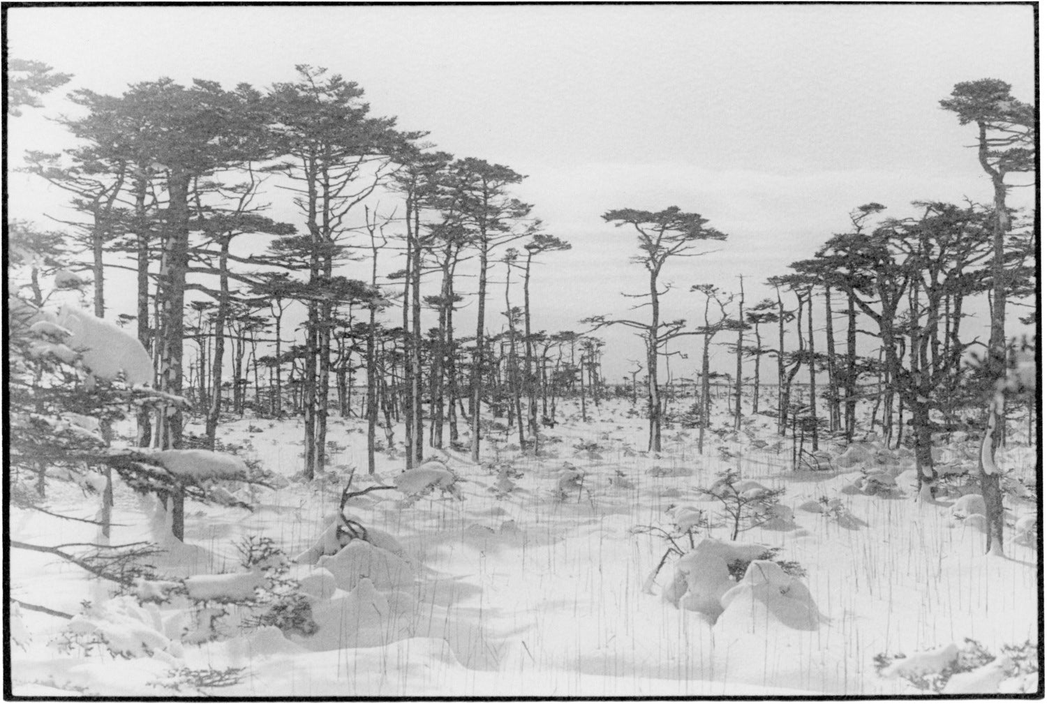 Cape Ochiishi, Nemuro