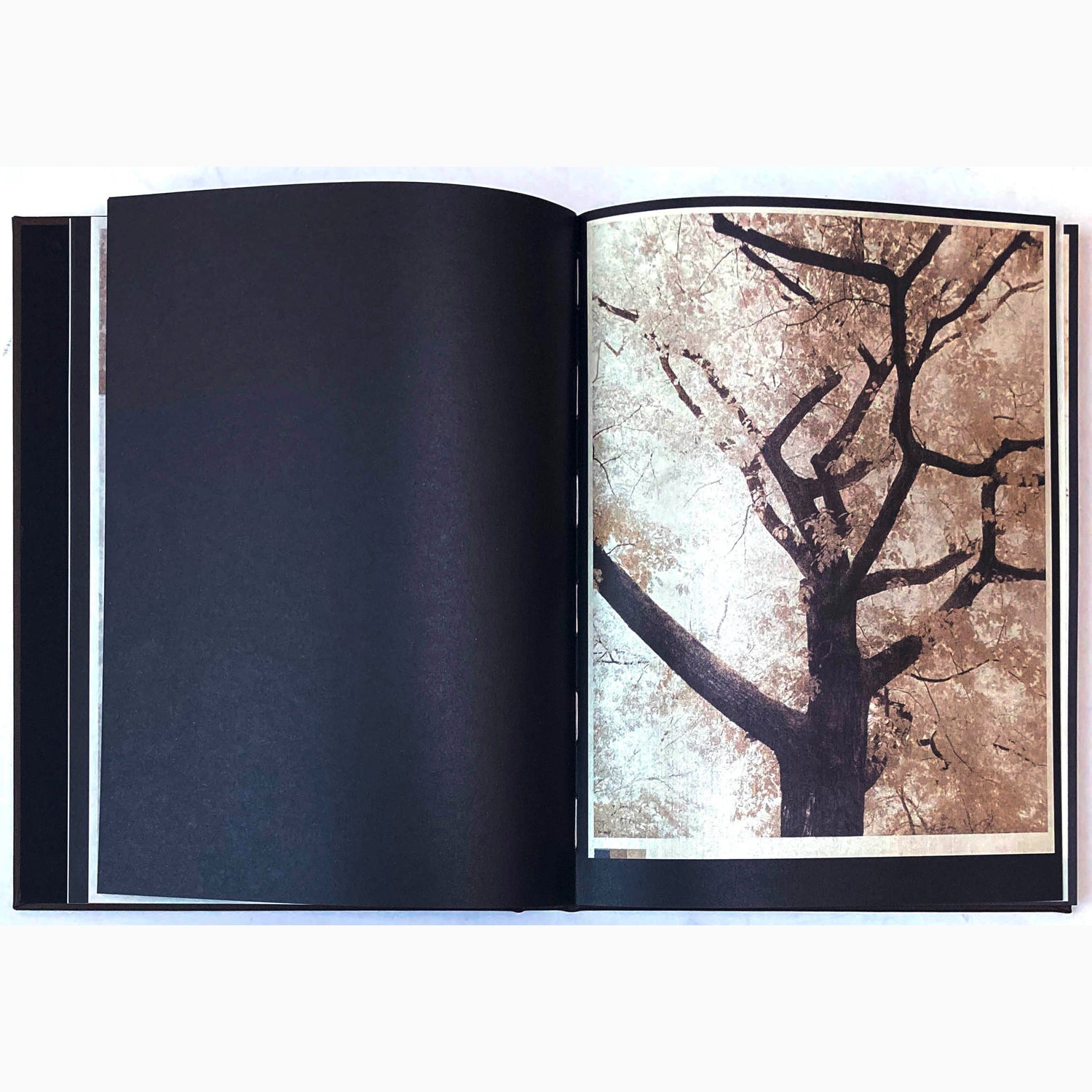 Norio Takasugi - As the twig is bent, so is the tree