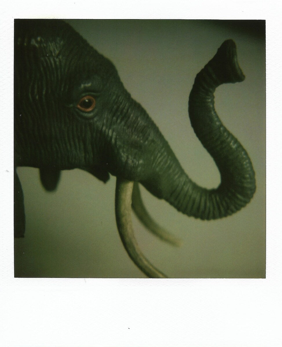 Object