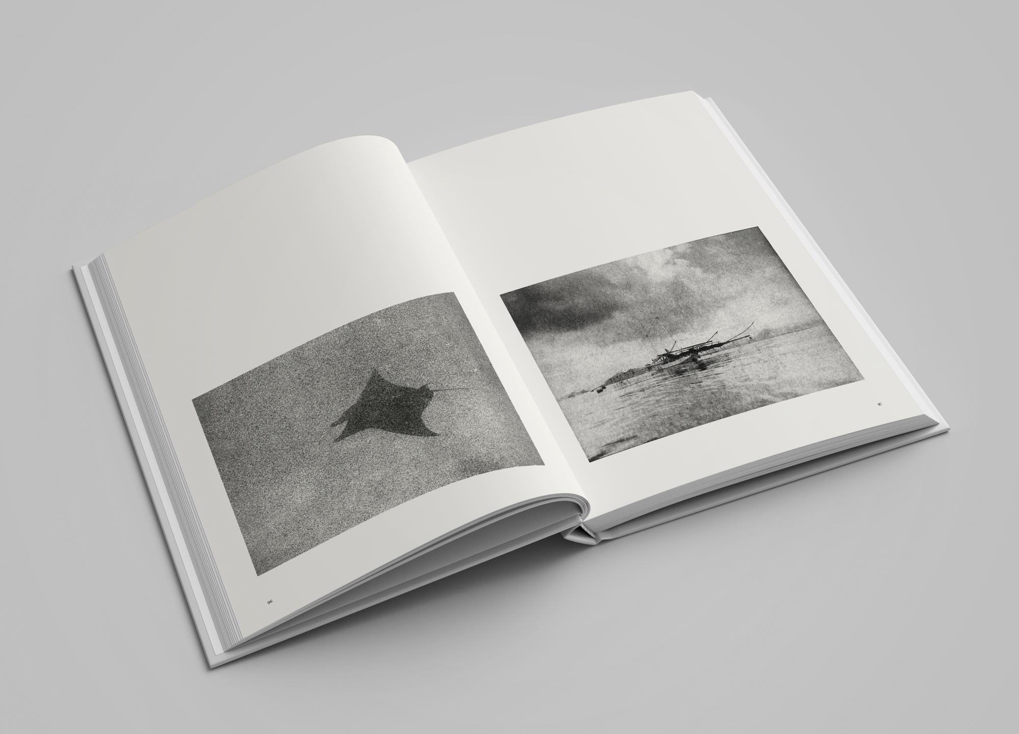 Guillaume Hozler - Nomad's Land