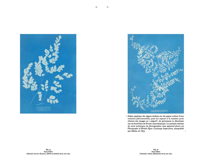 Victoria Aresheva & Clothilde Morette - Science Fiction, une non-histoire des plantes