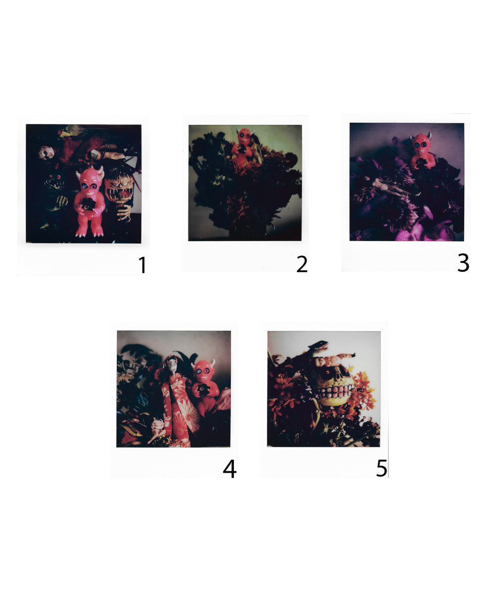 Anbako (with signed polaroid)