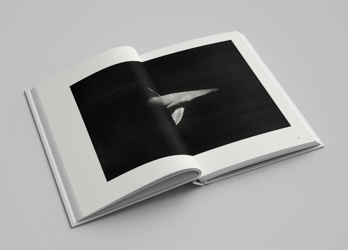 Guillaume Hozler - Nomad's Land