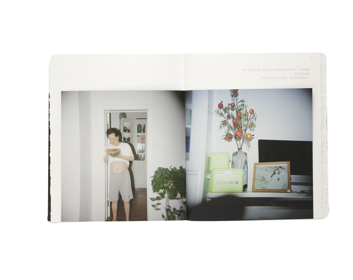 Mitani / I Did Nothing Other Than to Tell Them to Smile