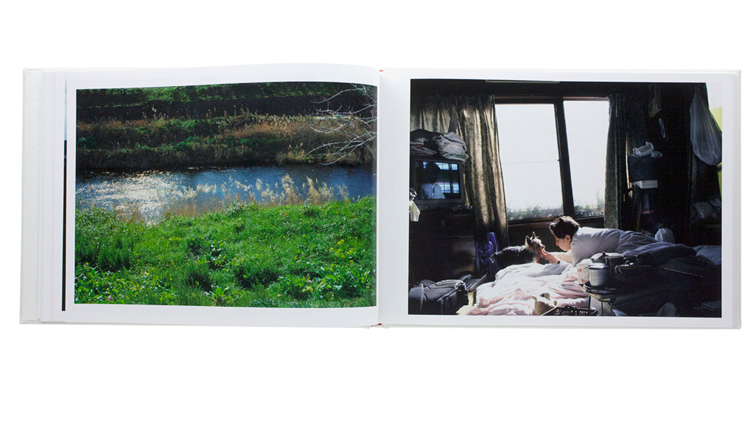 While leaves are falling… (SIGNED)