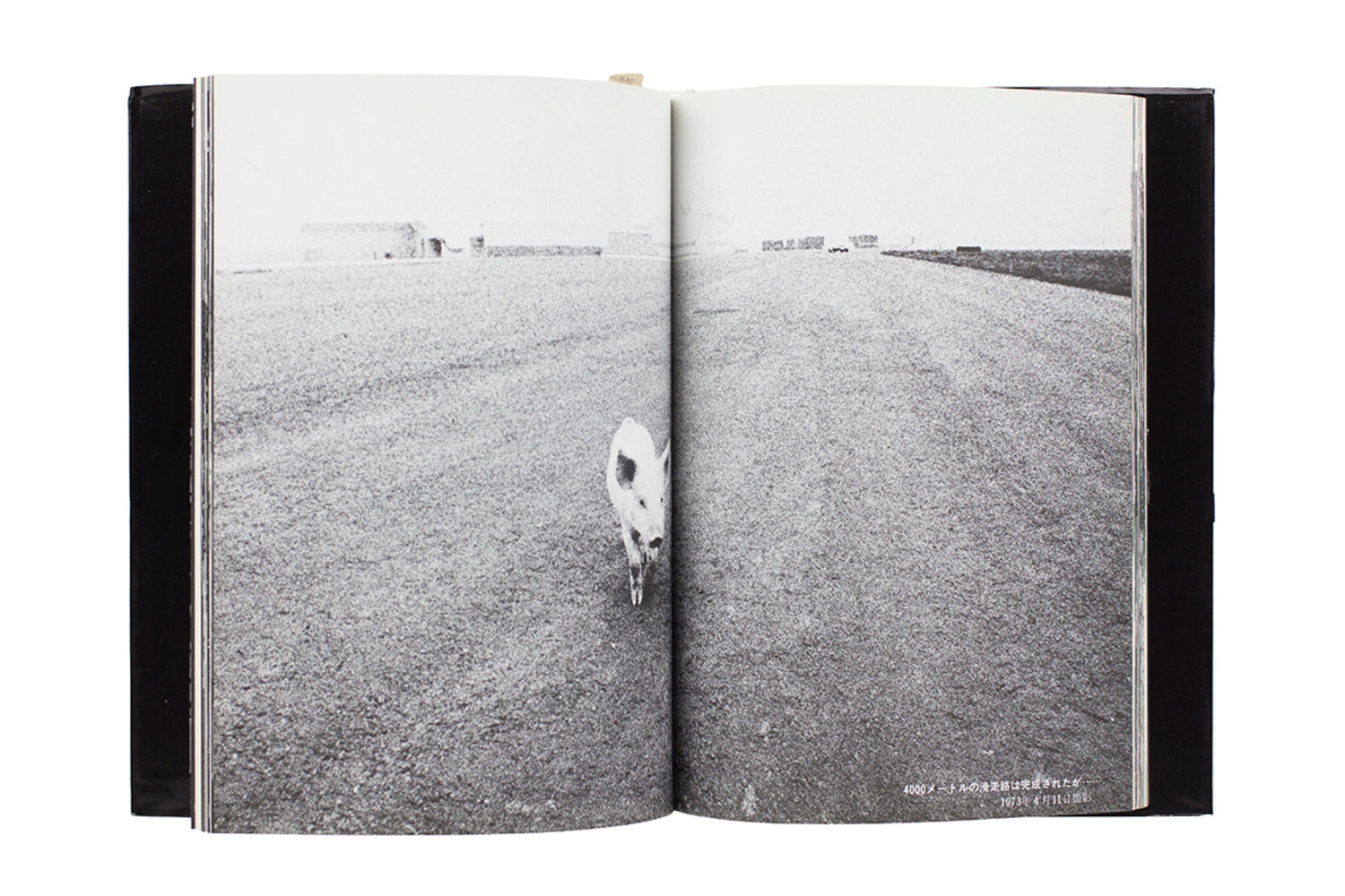 The Shudders of Narita Airport (SIGNED)
