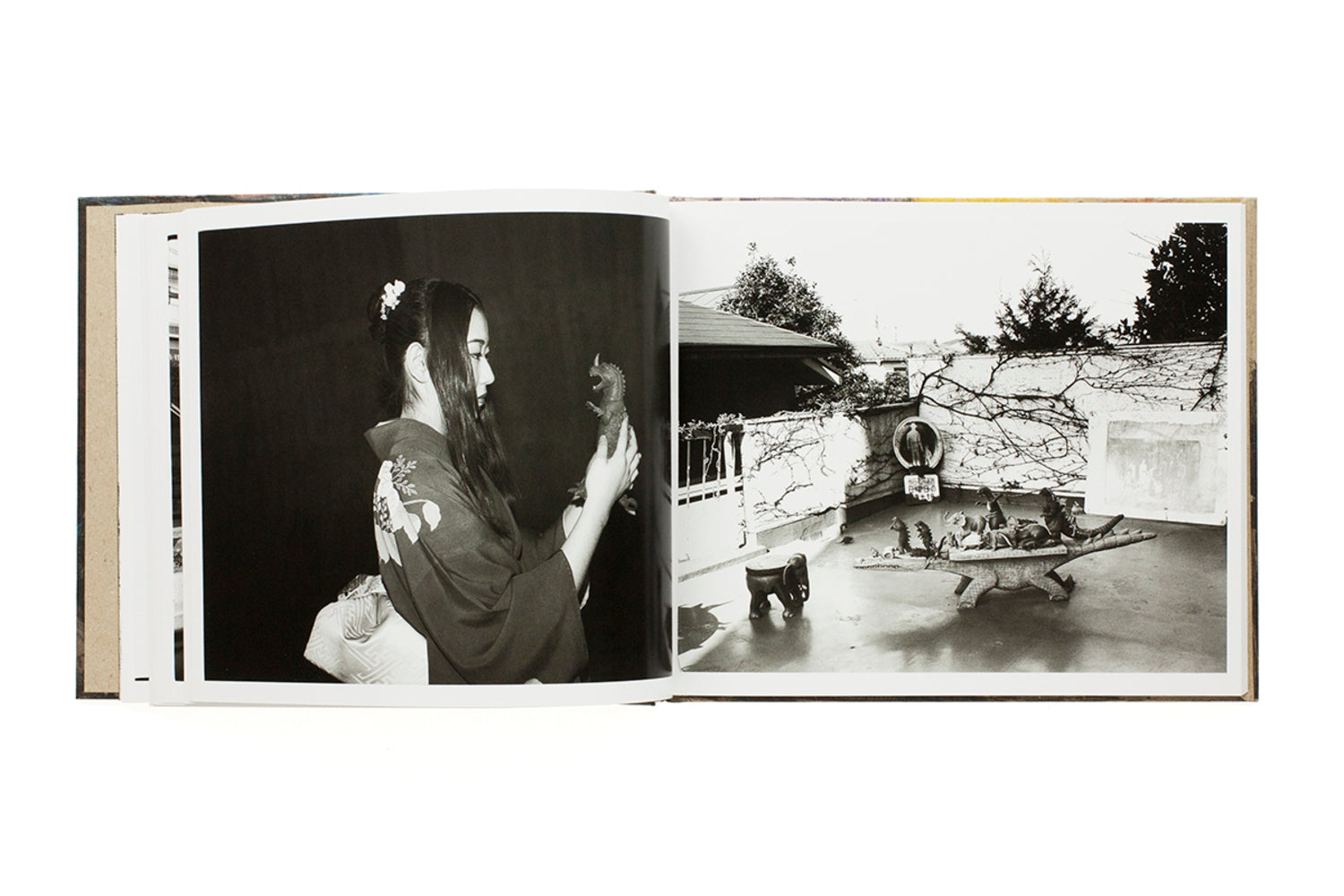 Seikimatsu no Shashin