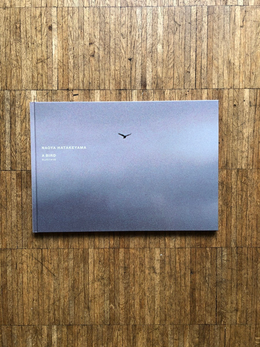 A Bird - Blast #130 (signed)