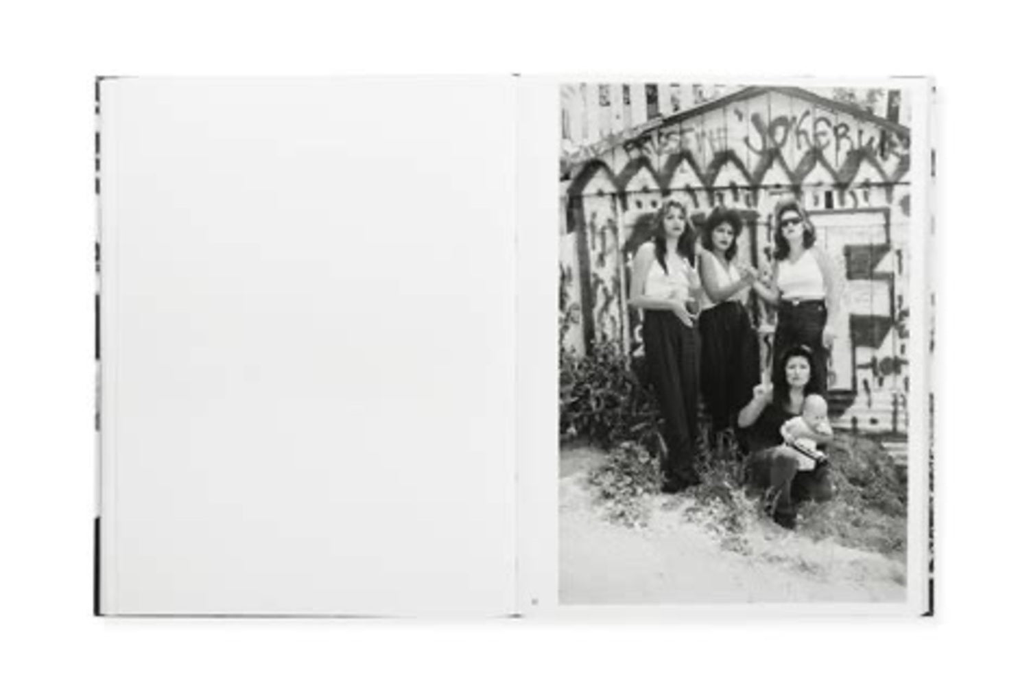 White Fence
