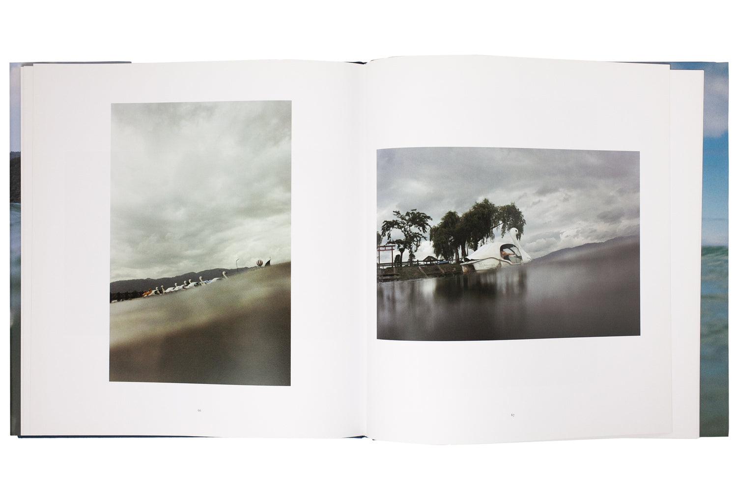 Half Awake and Half Asleep in the Water (signed)