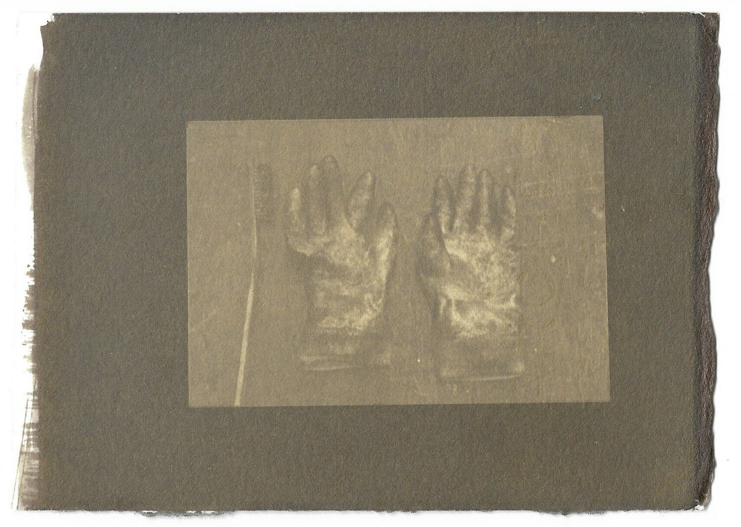 銅版画家の手袋 glove (Copperplate artist's gloves)