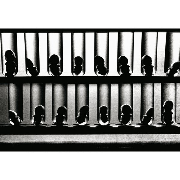 Daido Moriyama - Retrospective since 1965