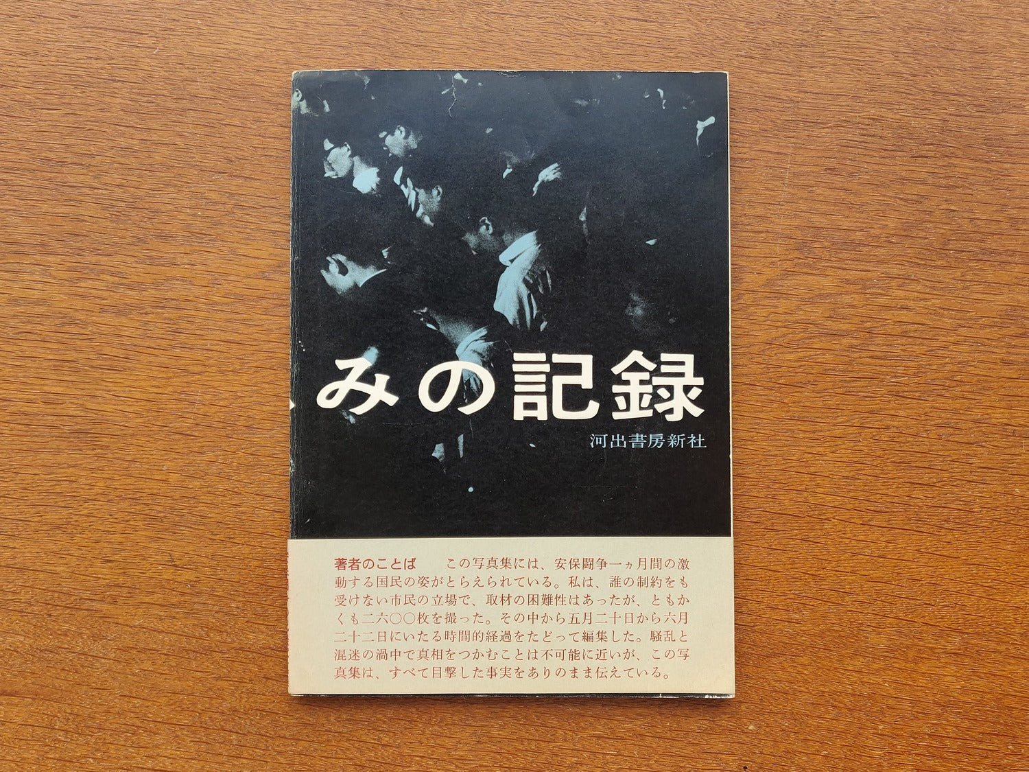 Record of Anger and Sadness (Ikari to Kanshimi no Kiroku)