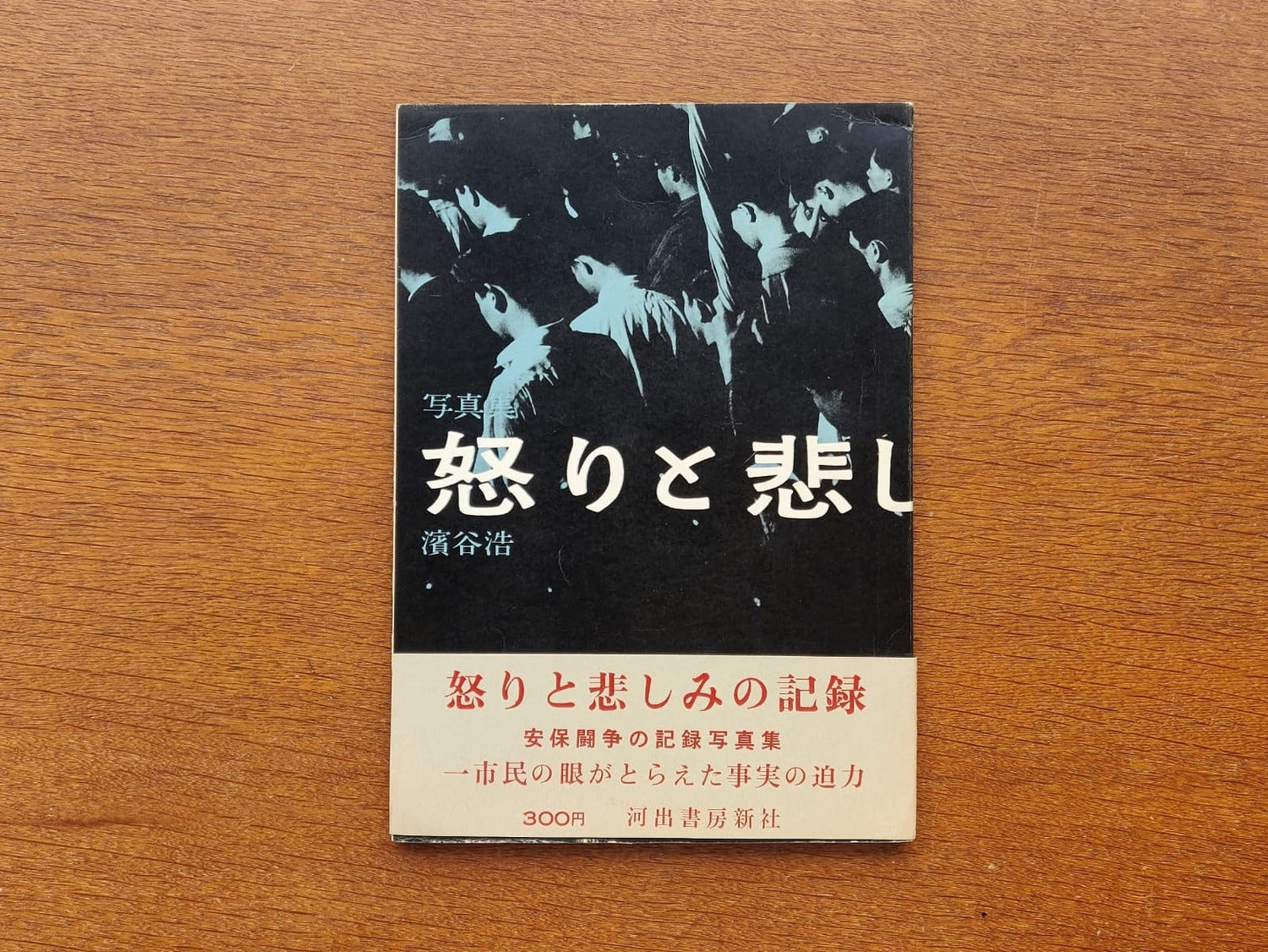 Record of Anger and Sadness (Ikari to Kanshimi no Kiroku)