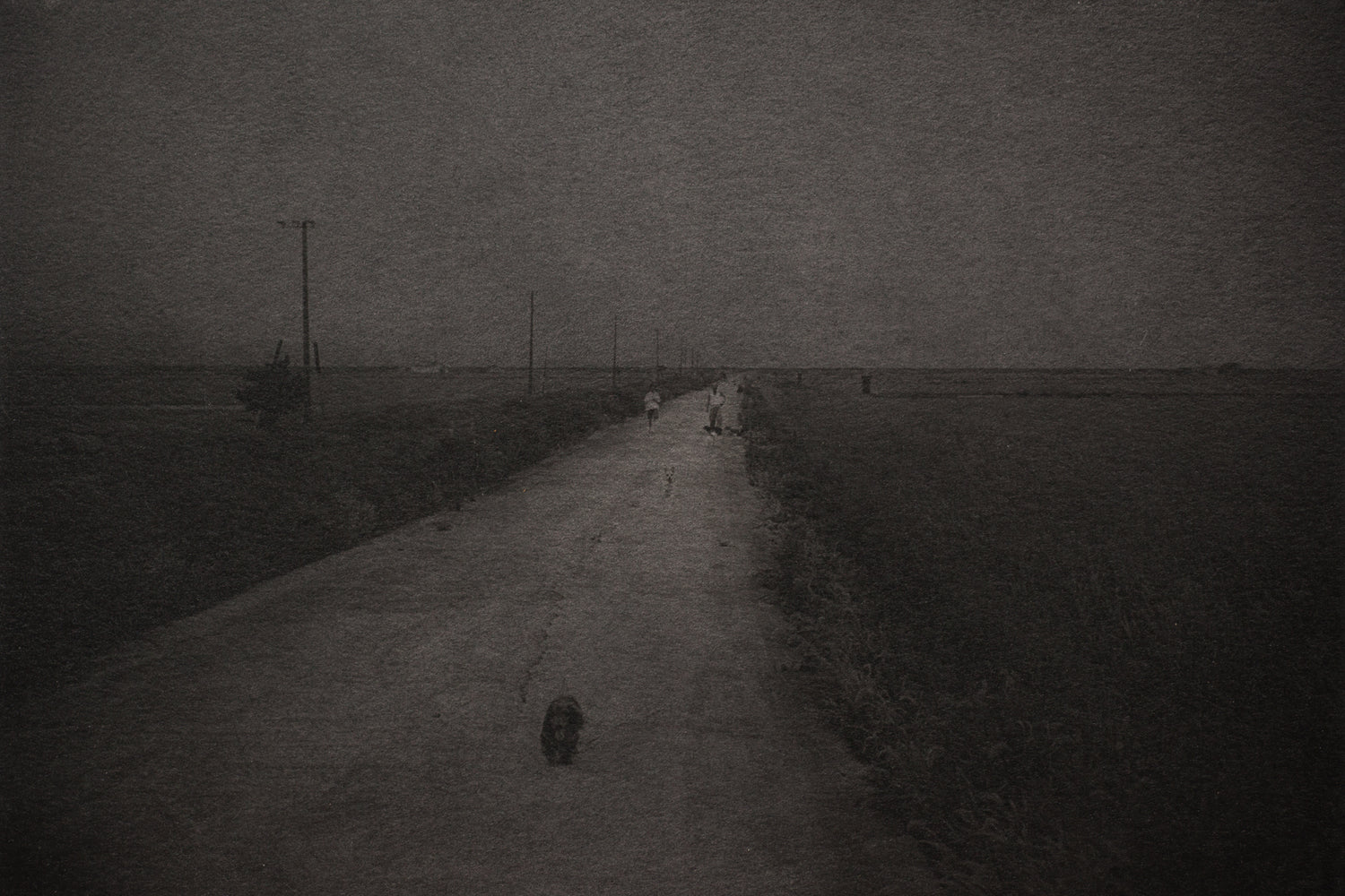 Dog walking