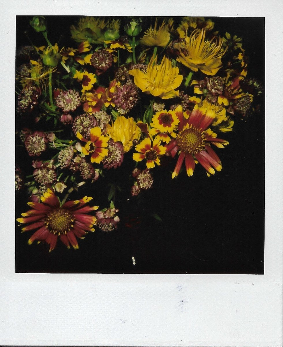 Flower series