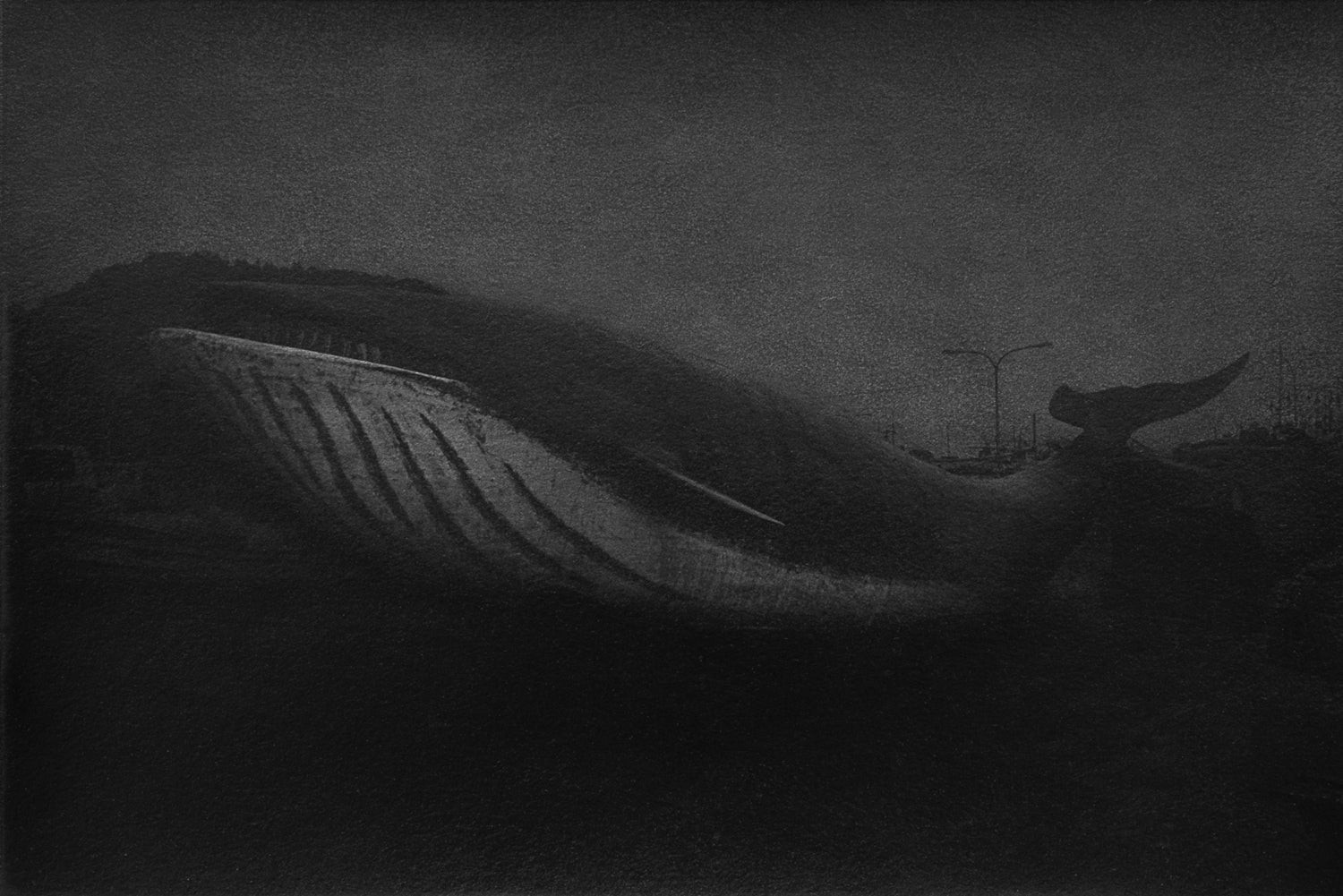 鯨 Whale