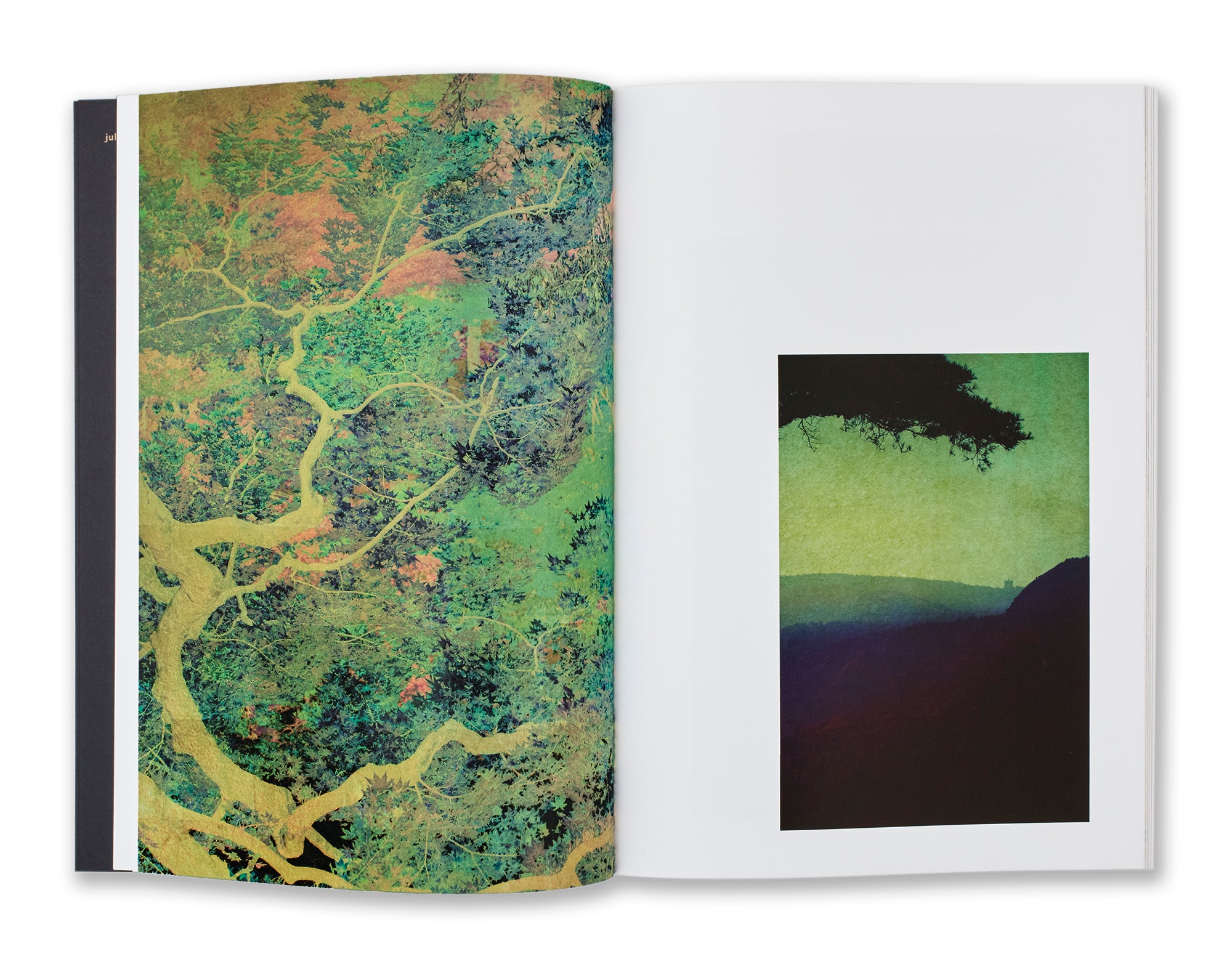 Albarran Cabrera - Fenêtre sur l'insolite