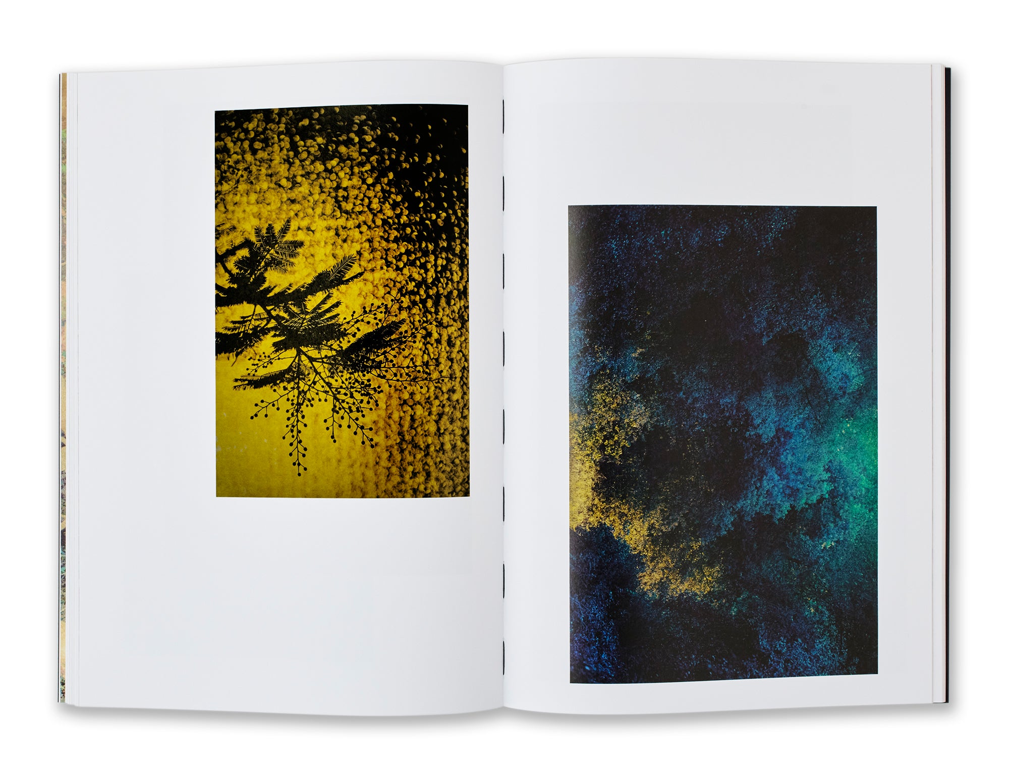 Albarran Cabrera - Fenêtre sur l'insolite