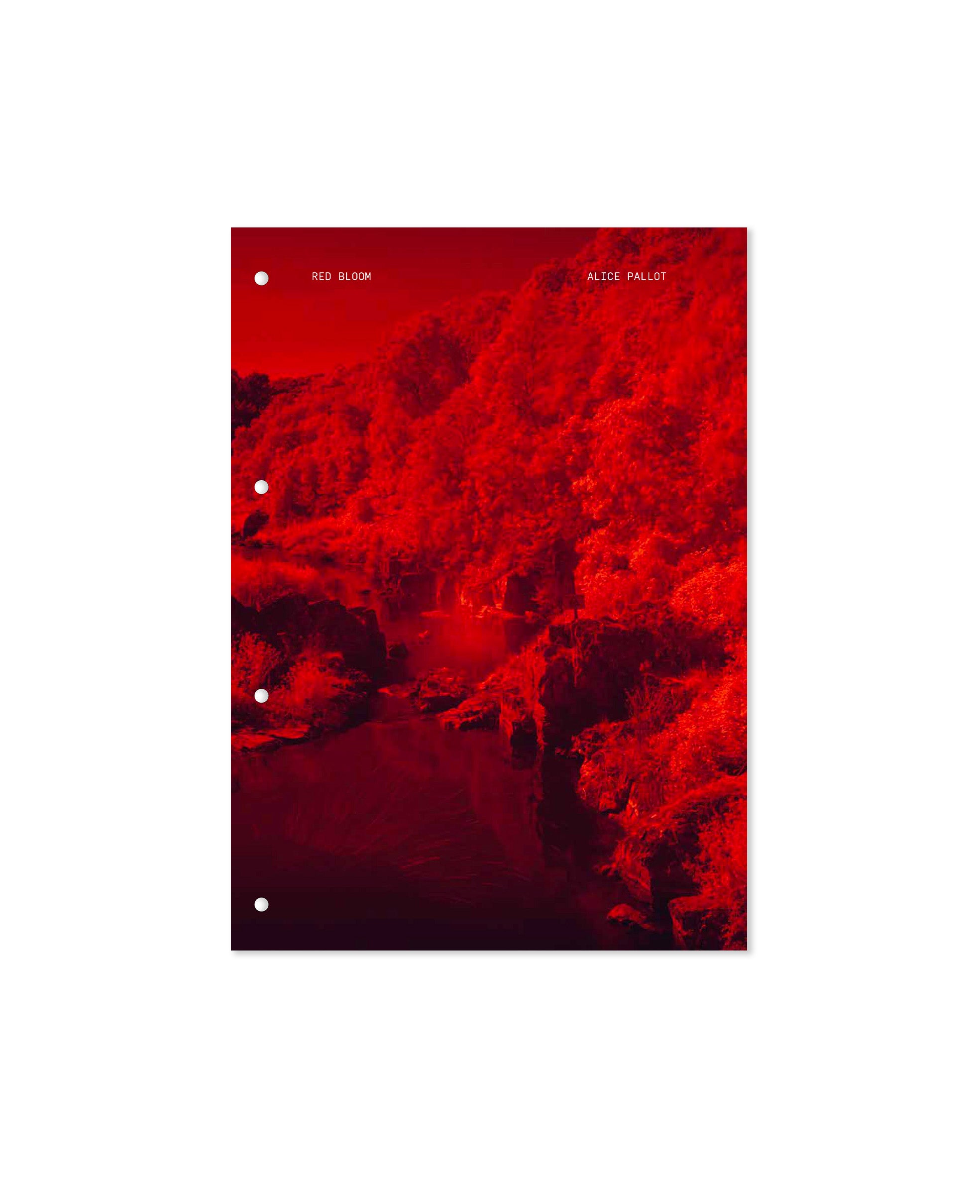 Alice Pallot - Red Bloom