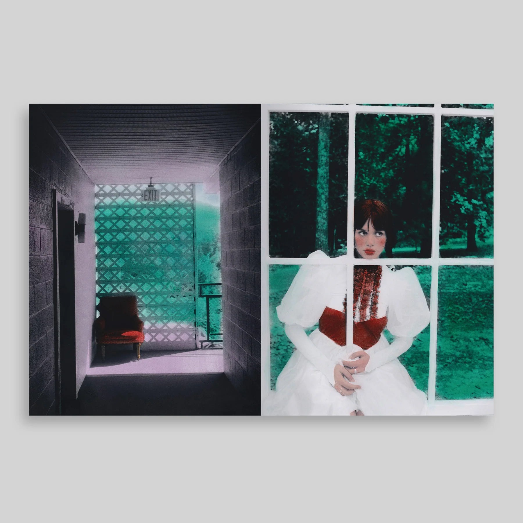 Eloïse Labarbe Lafon - American Album