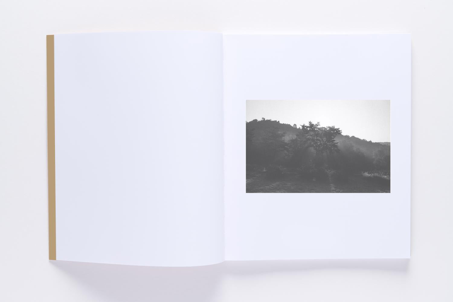 Frédéric Goyeau - Saving Daylight