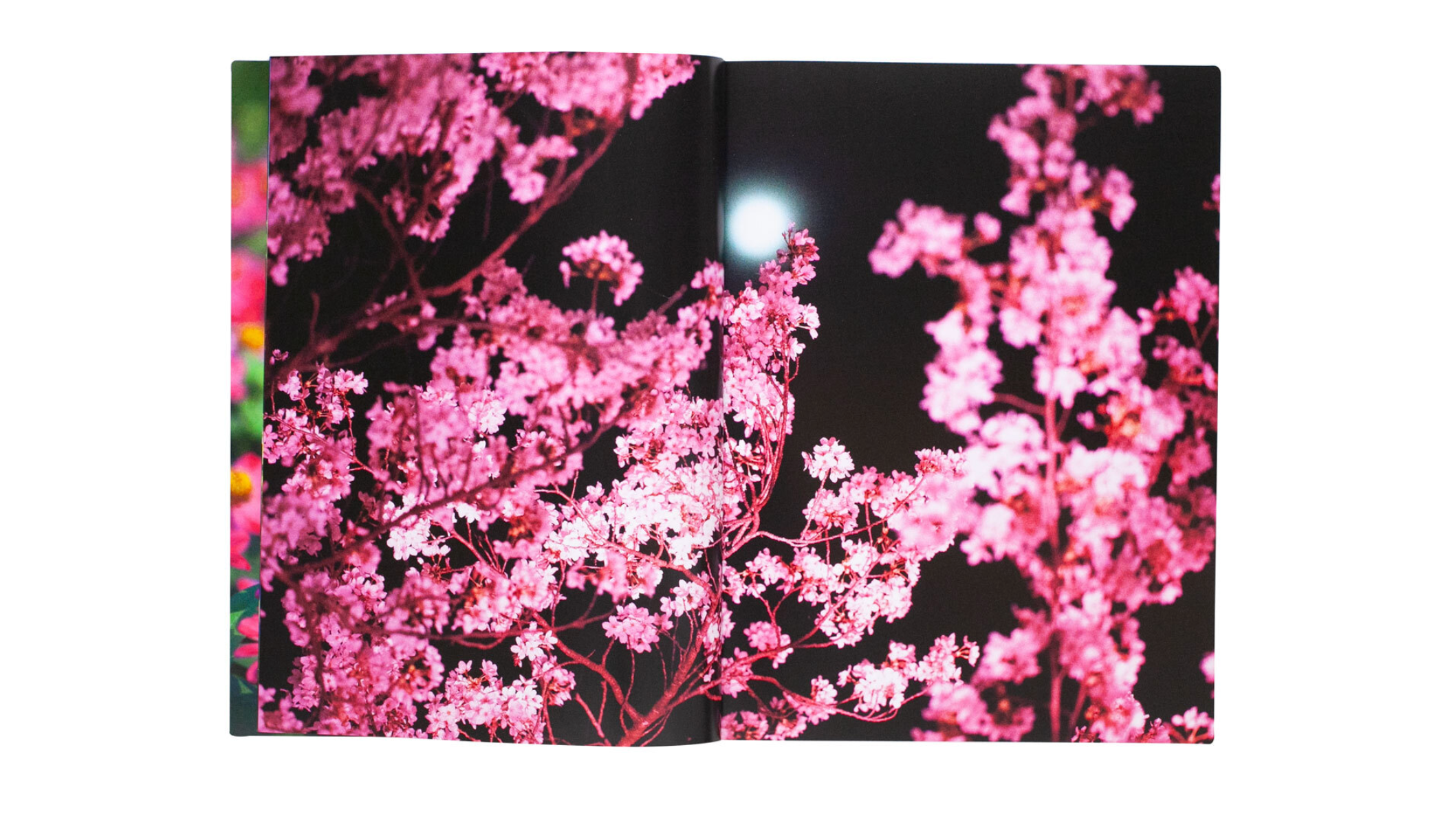 Mika Ninagawa – Eternity in a Moment Vol 1