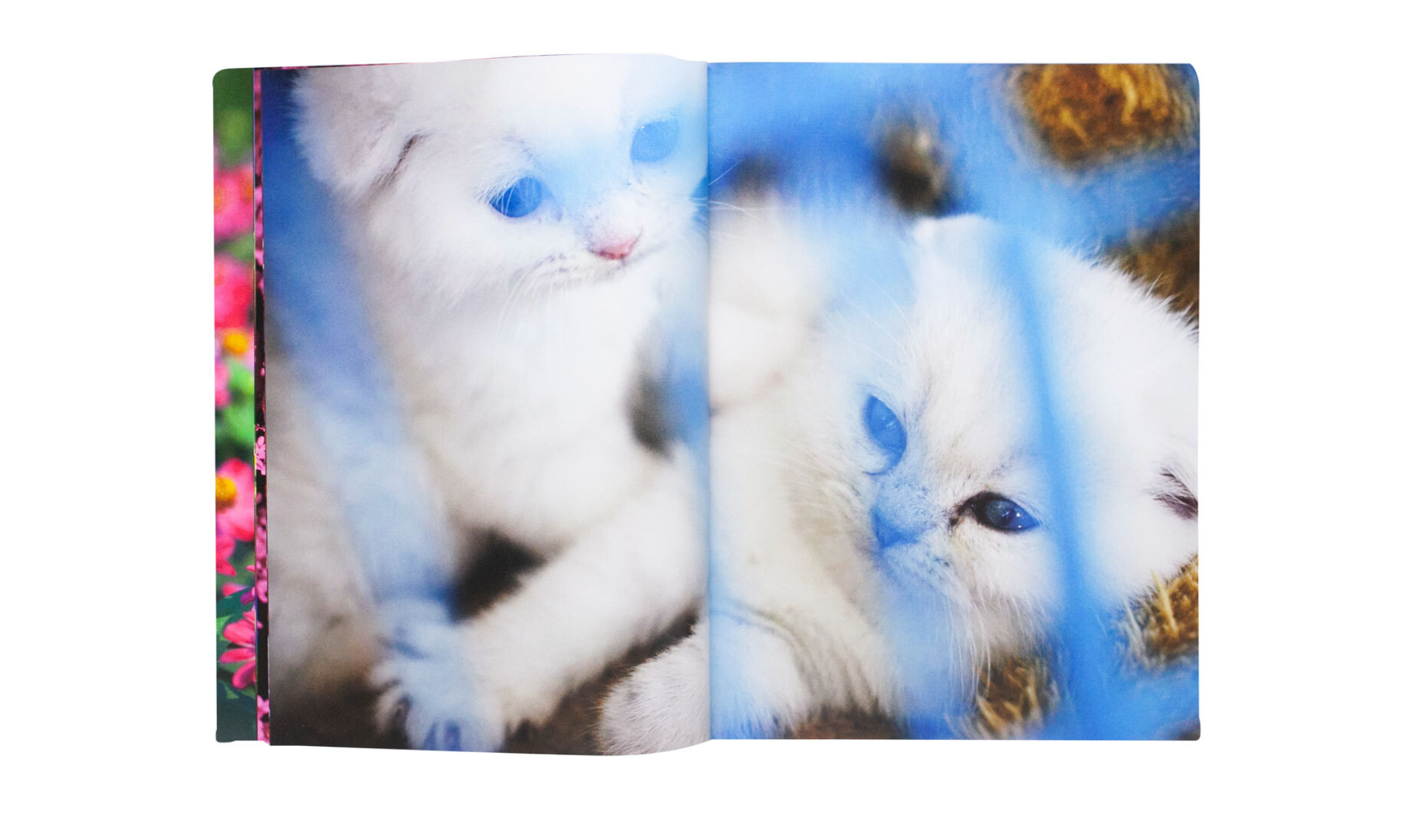 Mika Ninagawa – Eternity in a Moment Vol 1