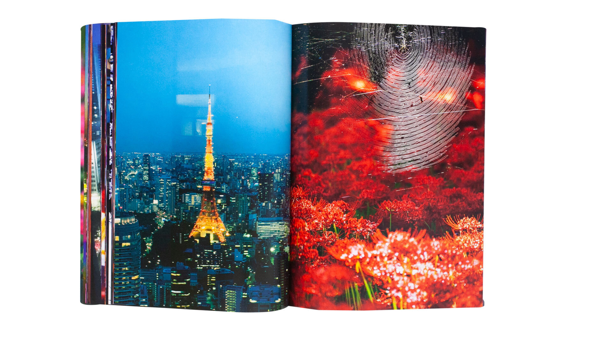 Mika Ninagawa – Eternity in a Moment Vol 1