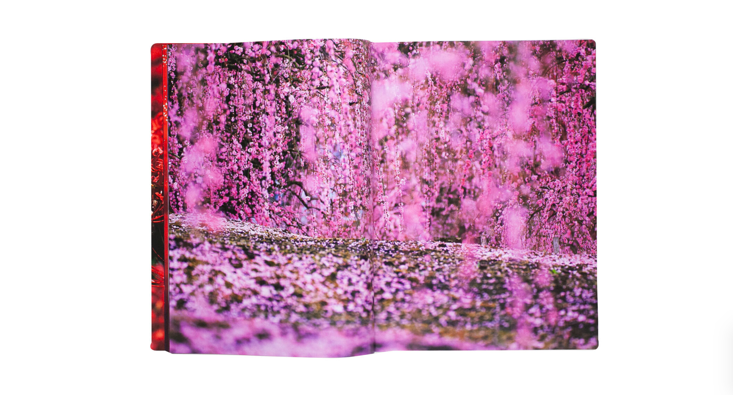 Mika Ninagawa - Eternity in a Moment Vol 2