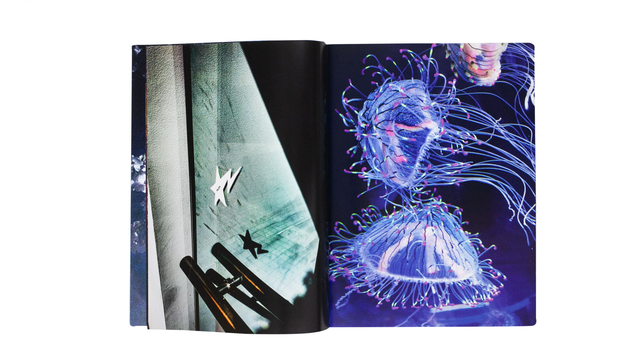 Mika Ninagawa - Eternity in a Moment Vol 3