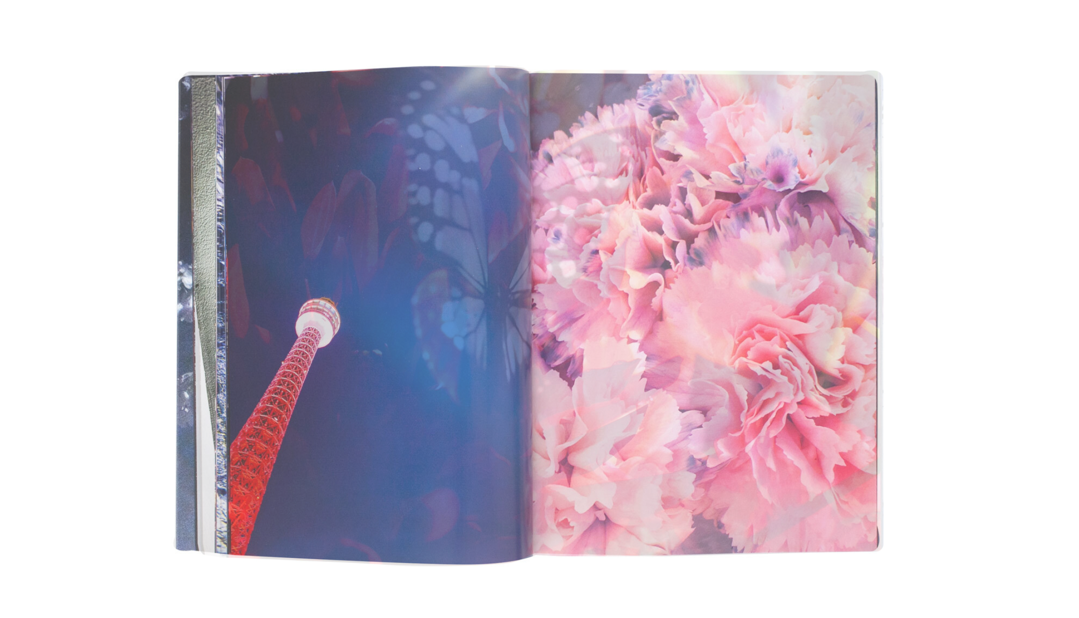 Mika Ninagawa - Eternity in a Moment Vol 3