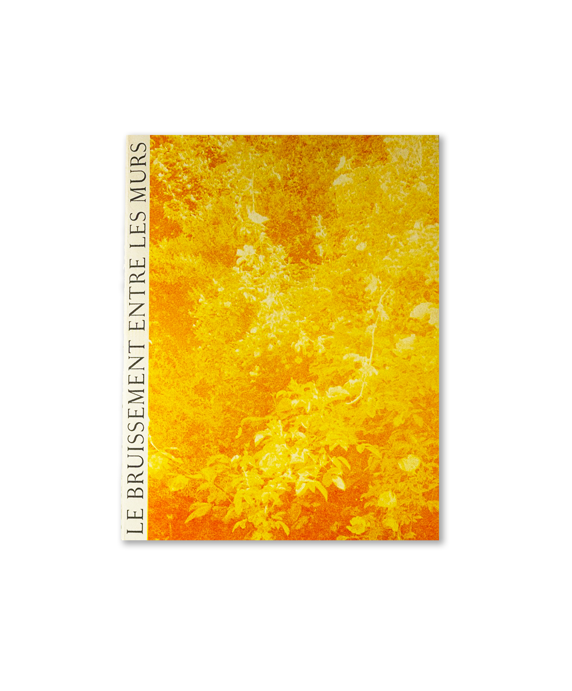 Clara Chichin & Sabatina Leccia - Le bruissement entre les murs (édition limitée)