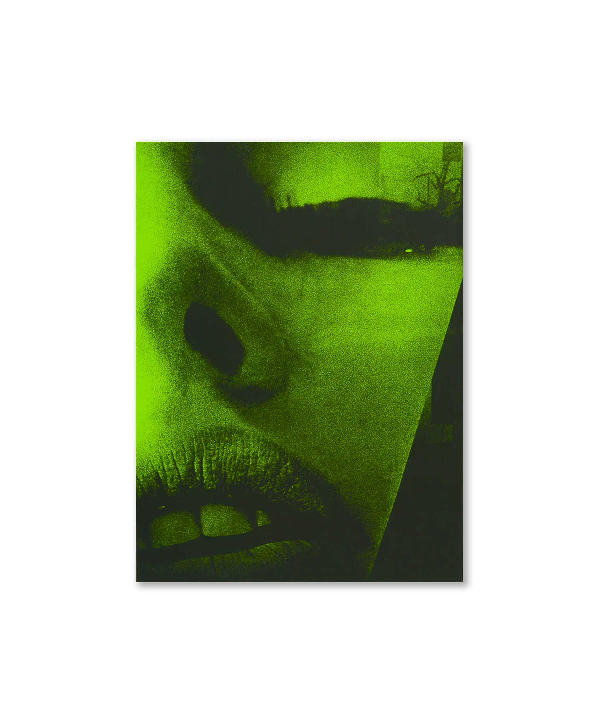 Daido Moriyama - Quartet