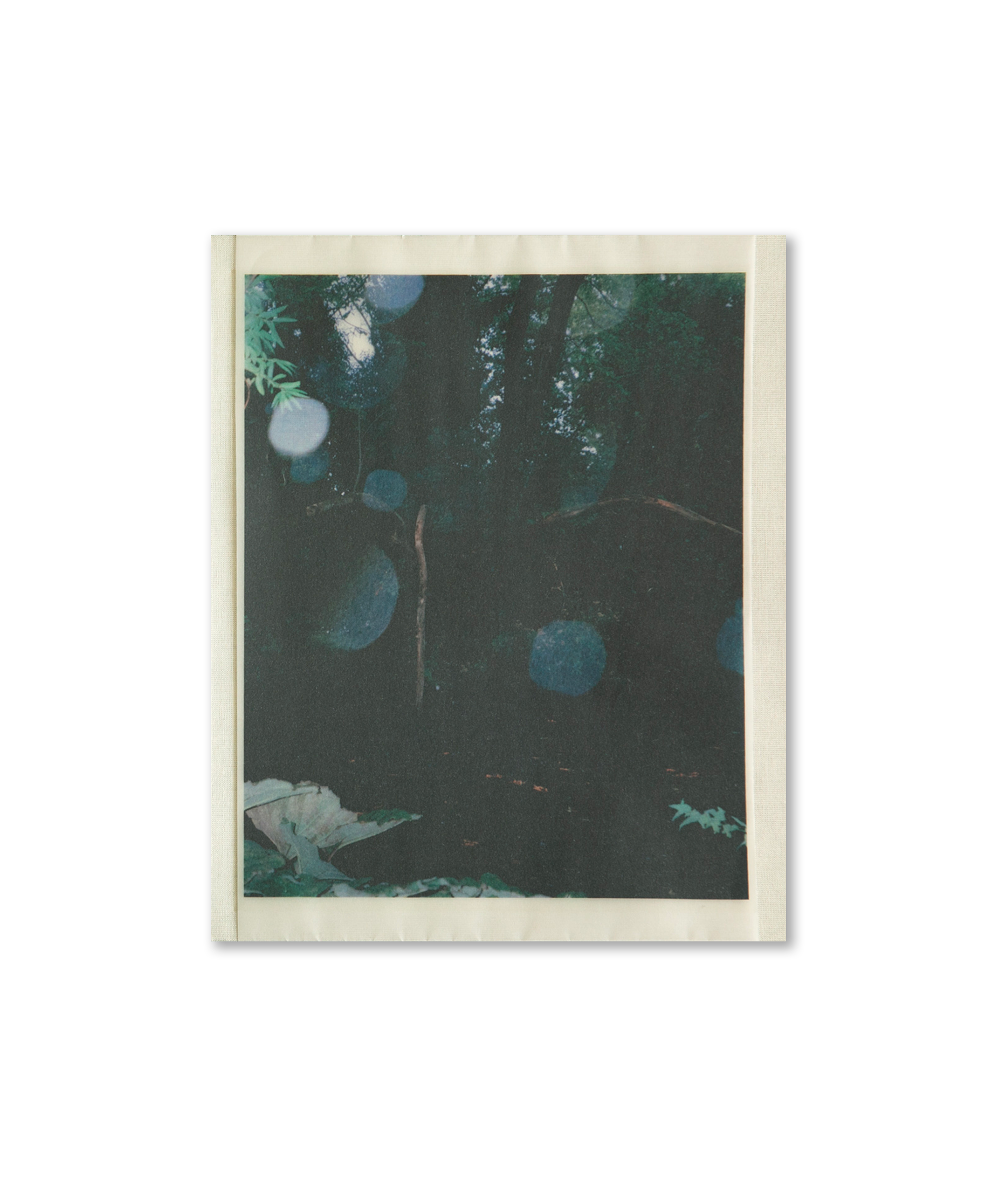 Densley Annastatia - When the Water Stands Still