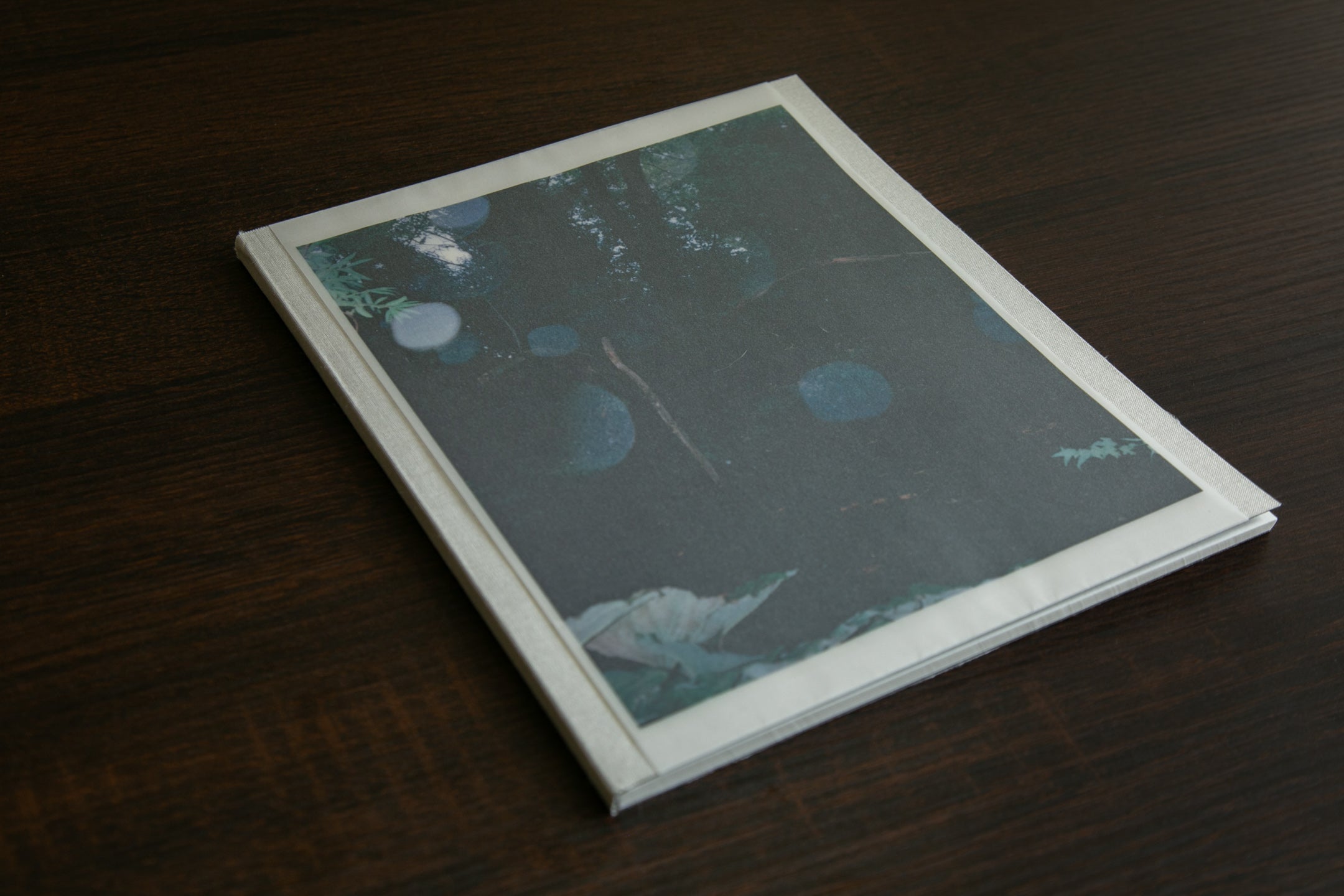 Densley Annastatia - When the Water Stands Still