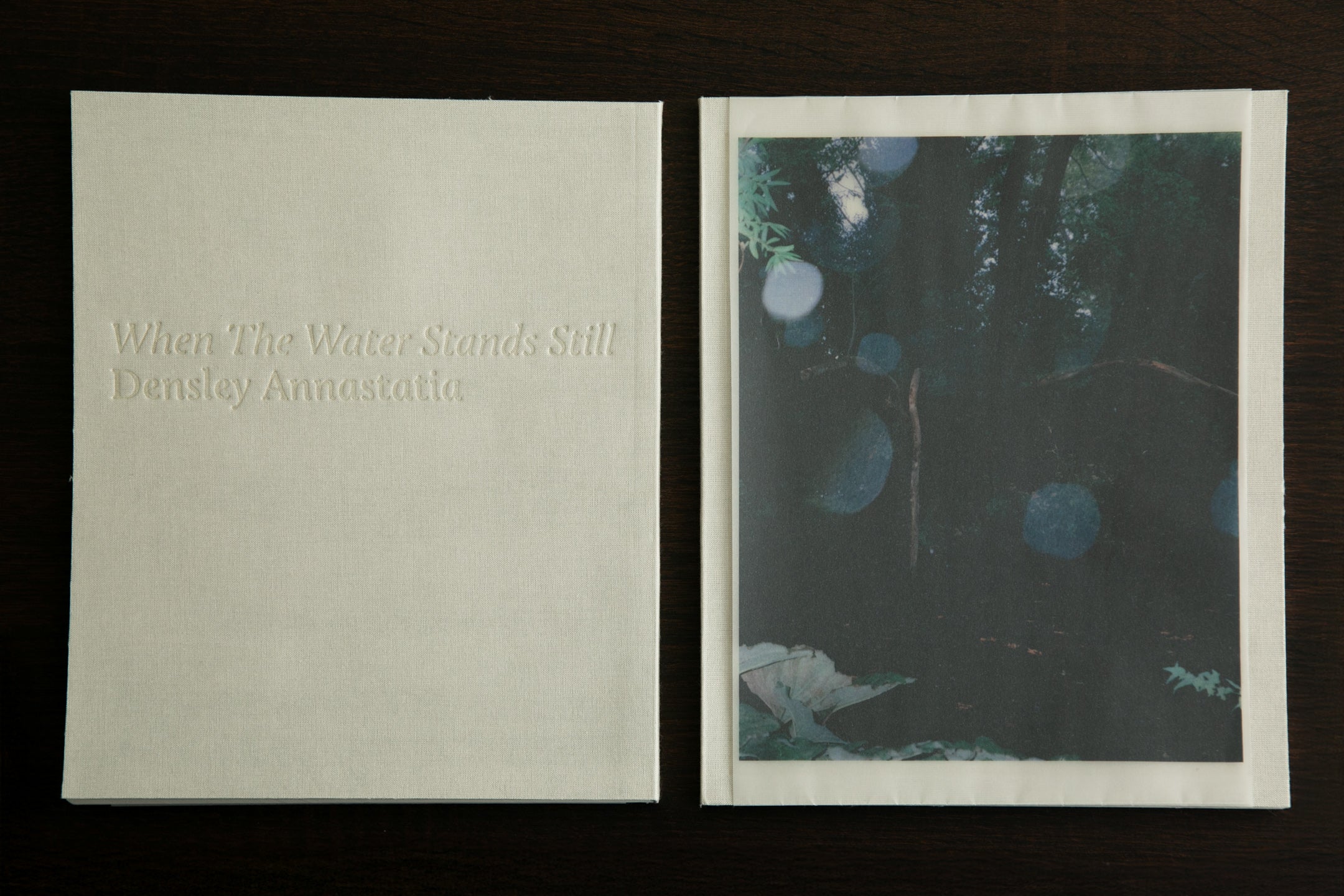 Densley Annastatia - When the Water Stands Still