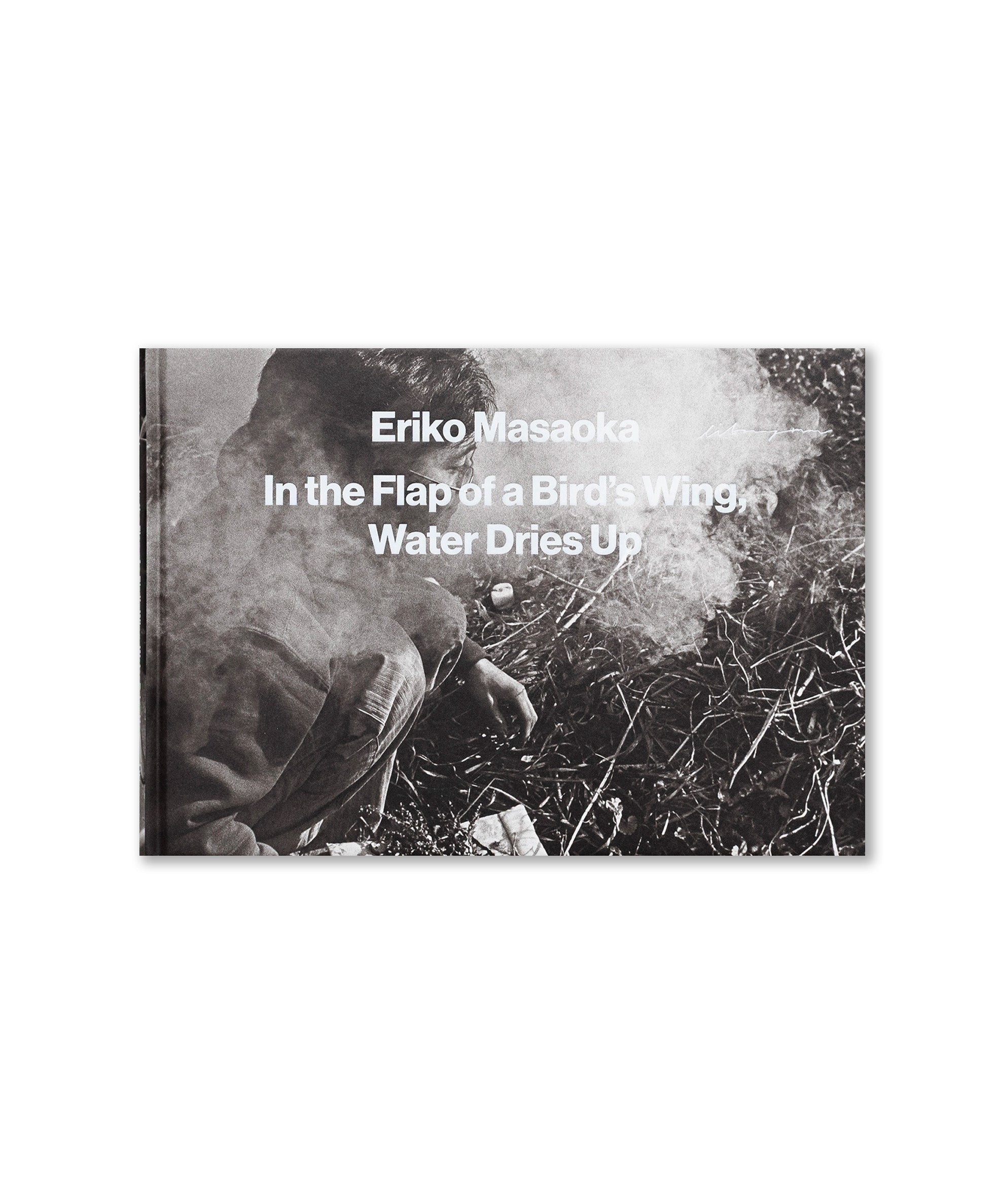 Eriko Masaoka - In the Flap of a Bird's Wing, Water Dries Up