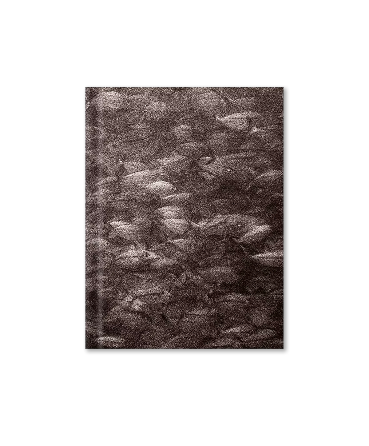 Guillaume Holzer - Nomad's Land