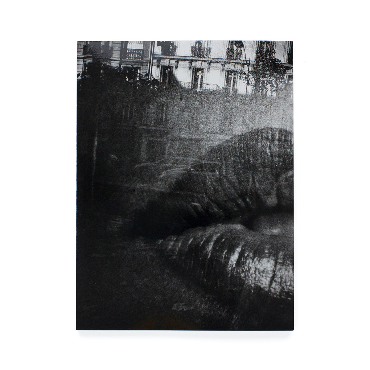 Daido Moriyama - Record N°31