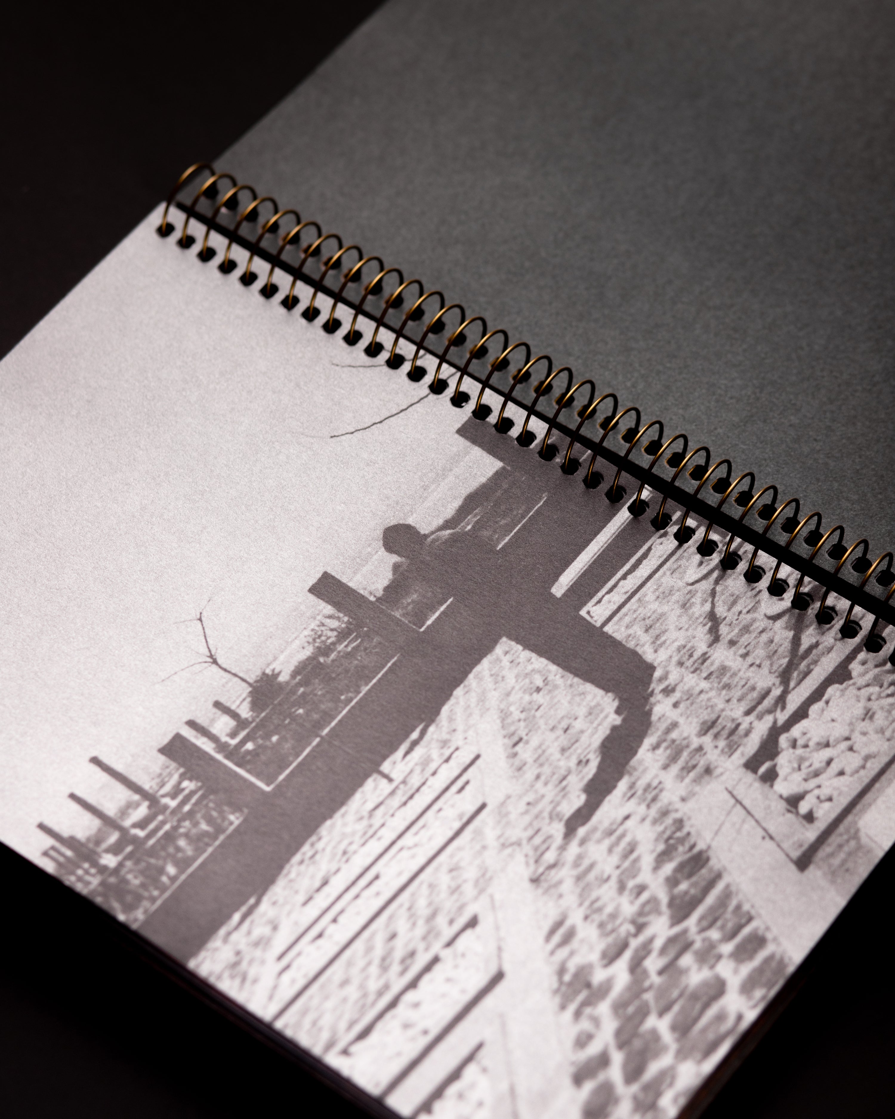 ORIANNE CIANTAR OLIVE - LES RUINES CIRCULAIRES