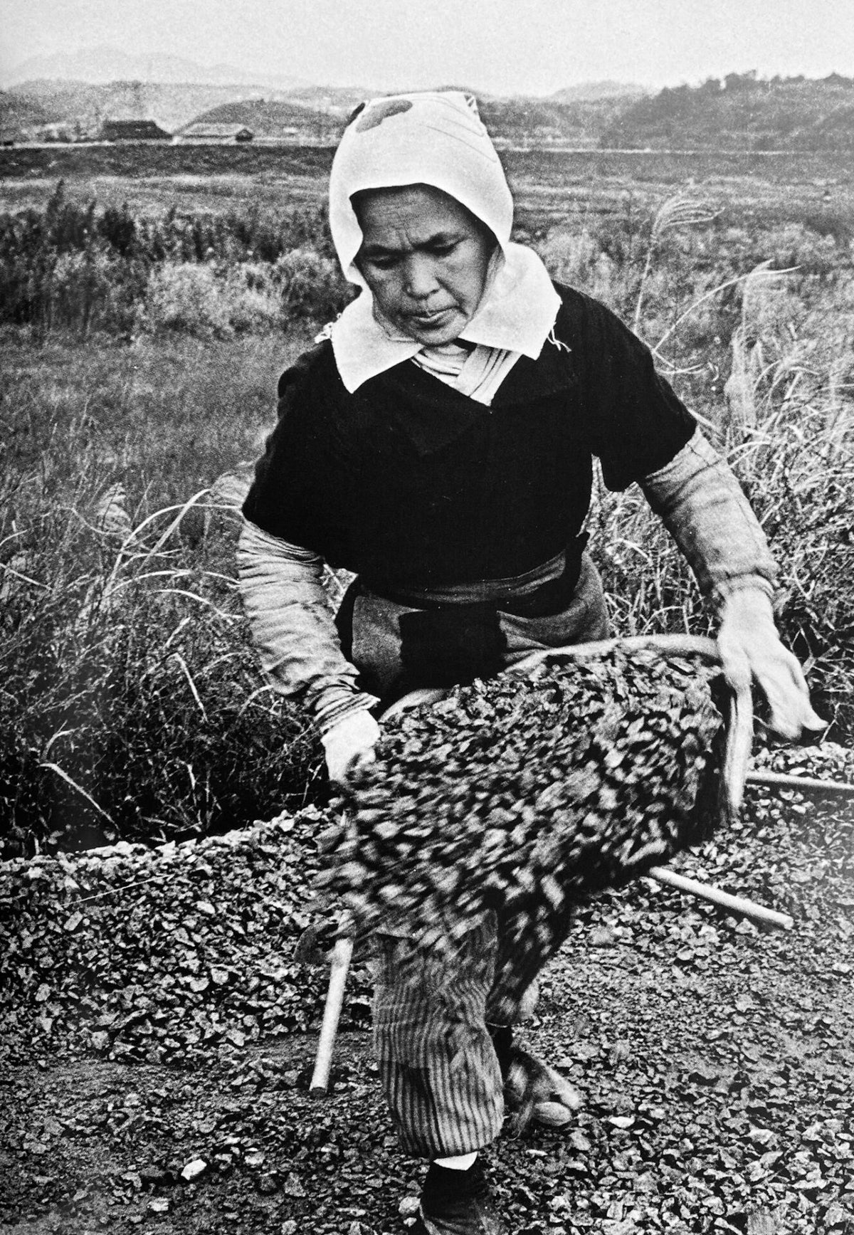 Ken Domon - Children of Chikuho