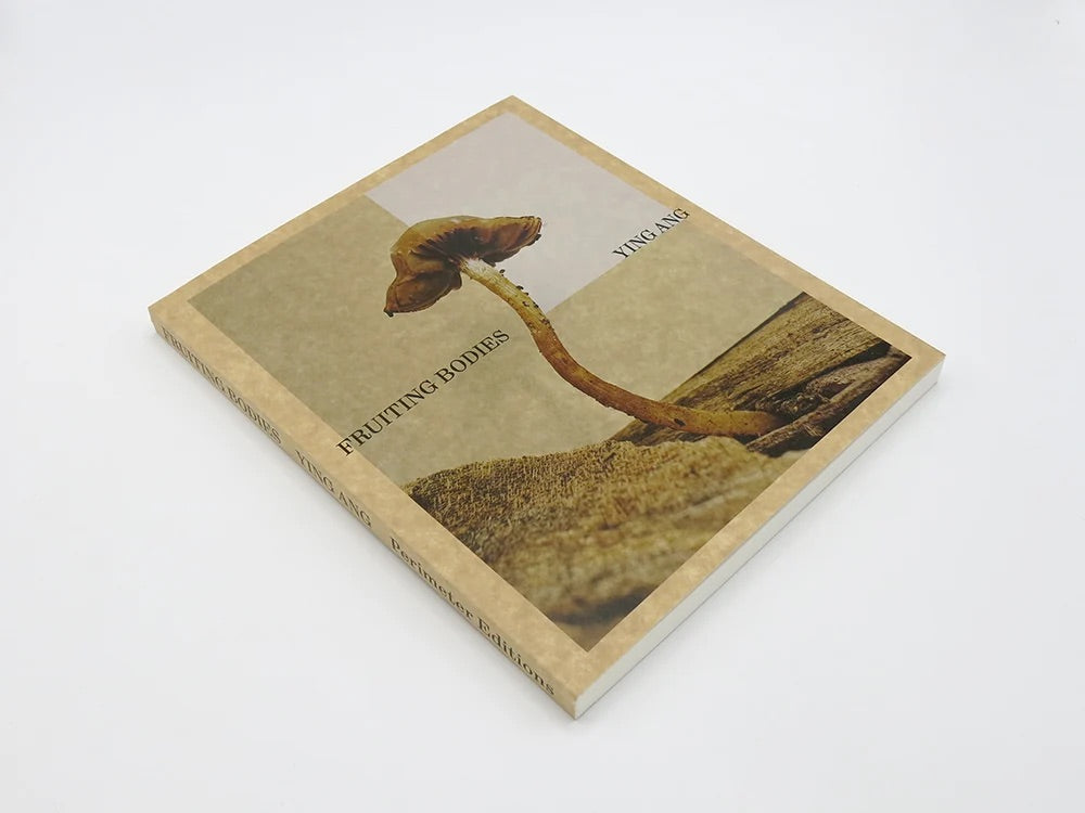 Ying Ang - Fruiting Bodies
