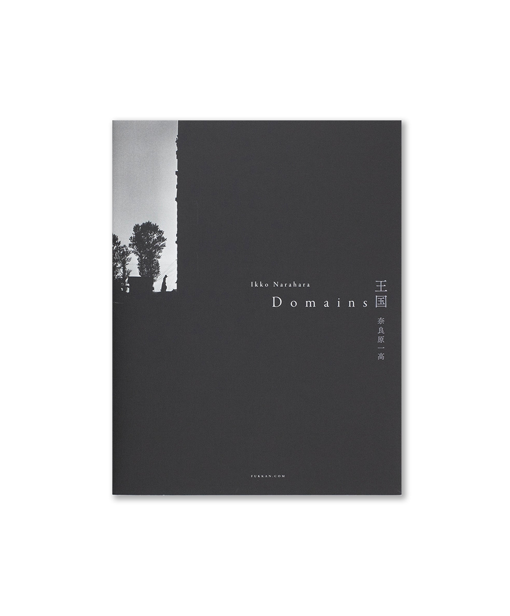 Ikko Narahara - Domains