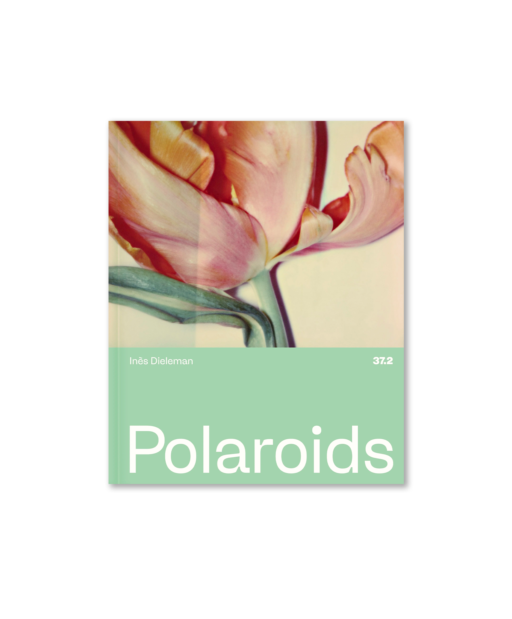 Inès Dieleman - Polaroids