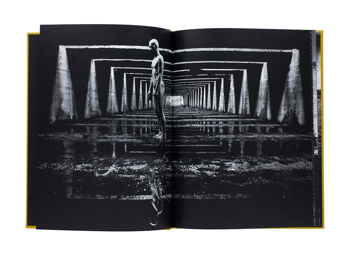 Keiichi Tahara - Photosynthesis